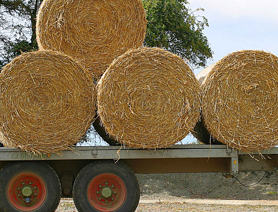 Trailers & Loaders Trailers & Loaders
